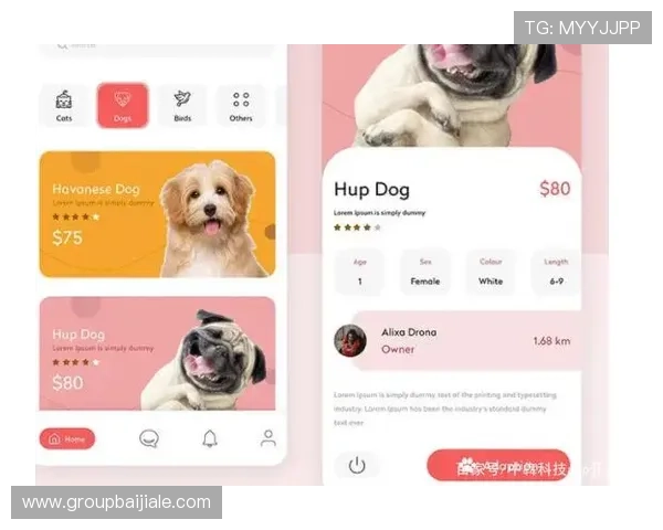 最新版本AG电子APP功能介绍及优化体验提升方法推荐